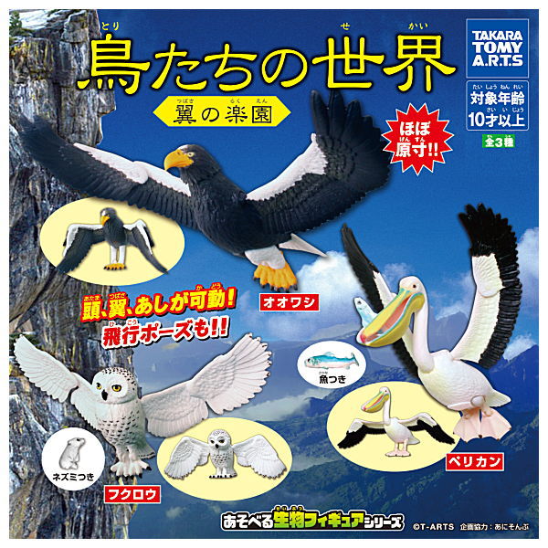 The world of birds Wing Paradise [All 3 type set(Full Complete)]