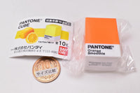 PANTONE CUBE [3.Orange smoothie]