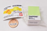 PANTONE CUBE [5.Melon smoothie]