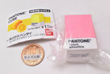 PANTONE CUBE [6.Peach smoothie]