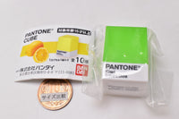 PANTONE CUBE [9.Kiwi smoothie]