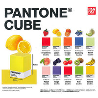 PANTONE CUBE [All 10 type set(Full Complete)]