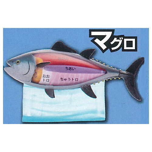 Children's Dictionary Encyclopedia Nakamimarumie figure Sea creatures hen [1.Tuna]