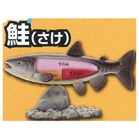 Children's Dictionary Encyclopedia Nakamimarumie figure Sea creatures hen [3.Salmon]