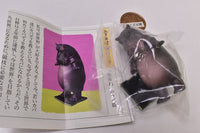 TANITA & Panda's ana Product What's my weight today? [2.RD-915L (Hippo) 'World's First' Hippopotamus]