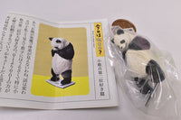 TANITA & Panda's ana Product What's my weight today? [3.BC-315 (Panda) Shosuten dainii suki hen]