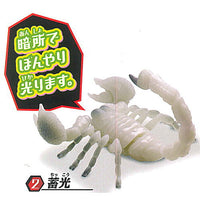 Scorpion Part.2 [2.Phosphorescent]