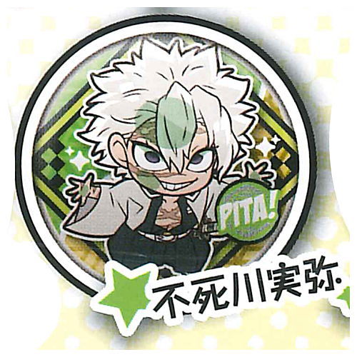 Pita! Deforme Kimetsu no Yaiba Can Badge vol.5 [11.Sanemi Shinazugawa]