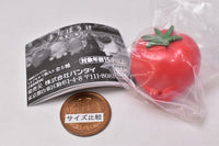 Machiboke Vegetable [1.Tomato]