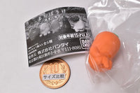 Machiboke Vegetable [3.Carrot]
