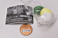 Machiboke Vegetable [5.Radish]
