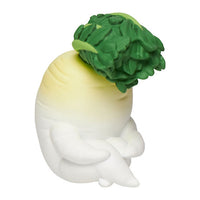 Machiboke Vegetable [5.Radish]