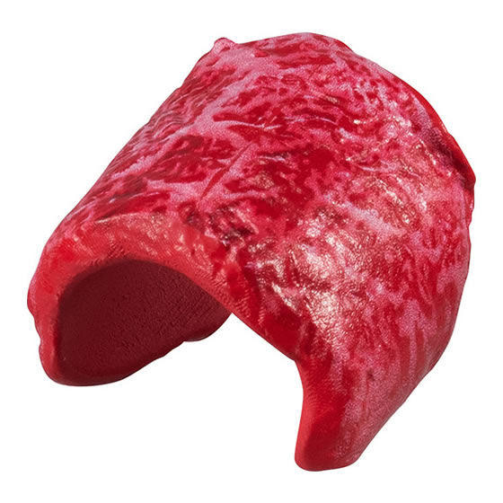Nikushokukeinisasagu Niku Ring [2.Skirt steak]