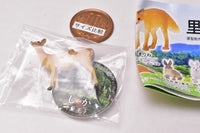 Nature Techni colour MICRO Satoyama no ikimono [6.Deer (summer hair)]