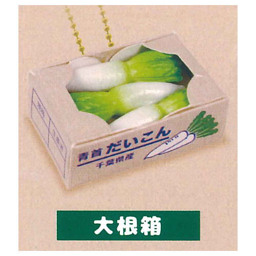 Punitto Packed Vegetables & Fruits Ball chain [2.Radish box]