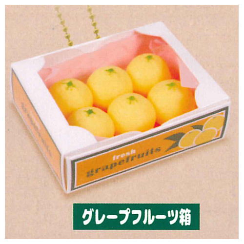 Punitto Packed Vegetables & Fruits Ball chain [5.Grapefruit box]