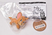 Hagcot Tom and Jerry [1.Jerry]