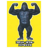 GoriMacho [1.Front double biceps]