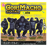 GoriMacho [All 5 type set(Full Complete)]