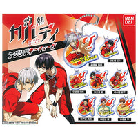 Burning Kabaddi Acrylic key chain [All 8 type set(Full Complete)]