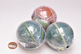 IMOMUSHI Gashapon [All 3 type set(Full Complete)]
