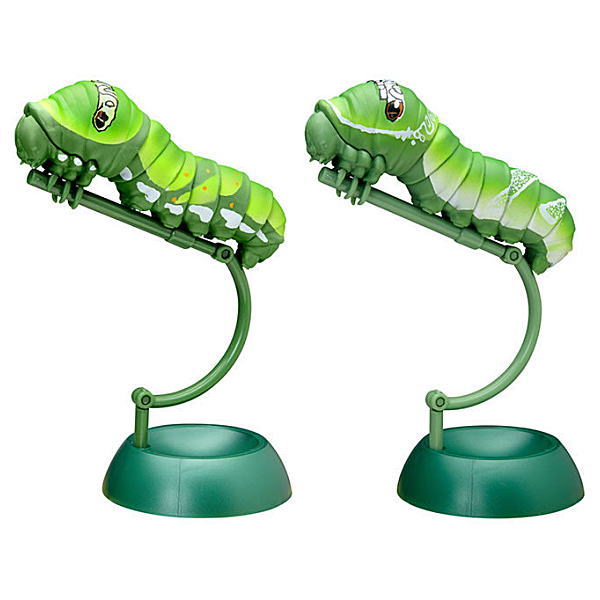 IMOMUSHI Gashapon [Assorted 2 type set (1.Swallowtail larva/3.Papilio memnon larva)]