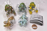 Abandoned Robo mini figure mascot [All 5 type set(Full Complete)]