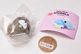 Capsule moni moni ANIMALS monimals [6.Sea otter]