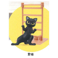 Mikeneko wa mita! [1.Black cat]