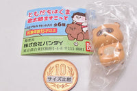 Tomodachi wa kuma Kintaro Mascot [5.Raccoon]