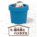 Sugomori pet [9.Flowerpot and hedgehog]