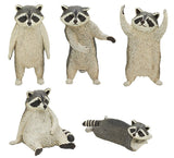 Raccoon with people inside [All 5 type set(Full Complete)]