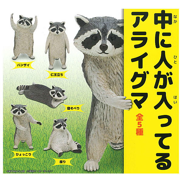 Raccoon with people inside [All 5 type set(Full Complete)]