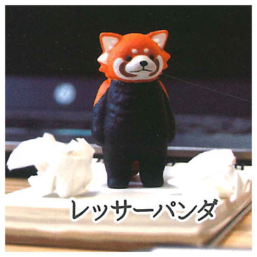 KYOMU. [5.Red panda]