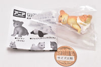 Capsule ANIA Nigiyaka Creature World! [1.Lion (child)]