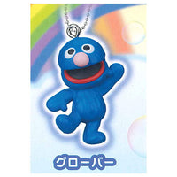 Sesame Street Seven Color Rainbow Mascot [7.Grover]