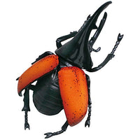Konchu no Mori Henshin Konchu arawaru! [1.Hercules beetle]