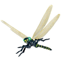 Konchu no Mori Henshin Konchu arawaru! [5.Anotogaster sieboldii]