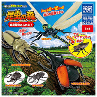 Konchu no Mori Henshin Konchu arawaru! [All 5 type set(Full Complete)]