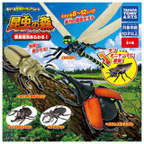 Konchu no Mori Henshin Konchu arawaru! [All 5 type set(Full Complete)]