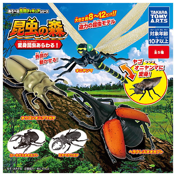 Konchu no Mori Henshin Konchu arawaru! [All 5 type set(Full Complete)]