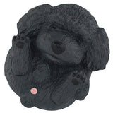 Manmaru Animals Manmaru Inu Ninkimonohen Part.2 [8.Toy poodle (Black)]