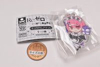 Decora PIC Acrylic Re: Life in a different world from Zero [3.Ram]