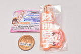 THE IDOLM@STER Cinderella Girls Capsule Rubber Mascot Name Collection! 02 [7.Tokiko Zaizen]