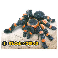 Tarantula Part.2 [1.Orange x black]