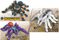 Tarantula Part.2 [All 3 type set(Full Complete)]