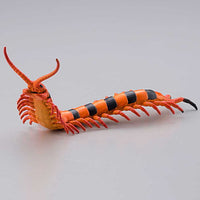 Capsule Q Museum The Complete of Poisonous and Dangerous Creature vol.2 [1.Scolopendra hardwickei]