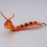 Capsule Q Museum The Complete of Poisonous and Dangerous Creature vol.2 [1.Scolopendra hardwickei]