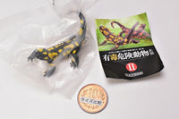 Capsule Q Museum The Complete of Poisonous and Dangerous Creature vol.2 [3.Salamandra salamandra (yellow)]