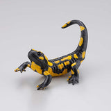 Capsule Q Museum The Complete of Poisonous and Dangerous Creature vol.2 [3.Salamandra salamandra (yellow)]